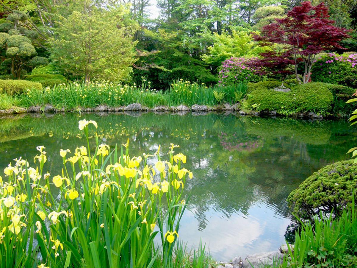 Hotel Garden Palace Kumagaya Exteriör bild