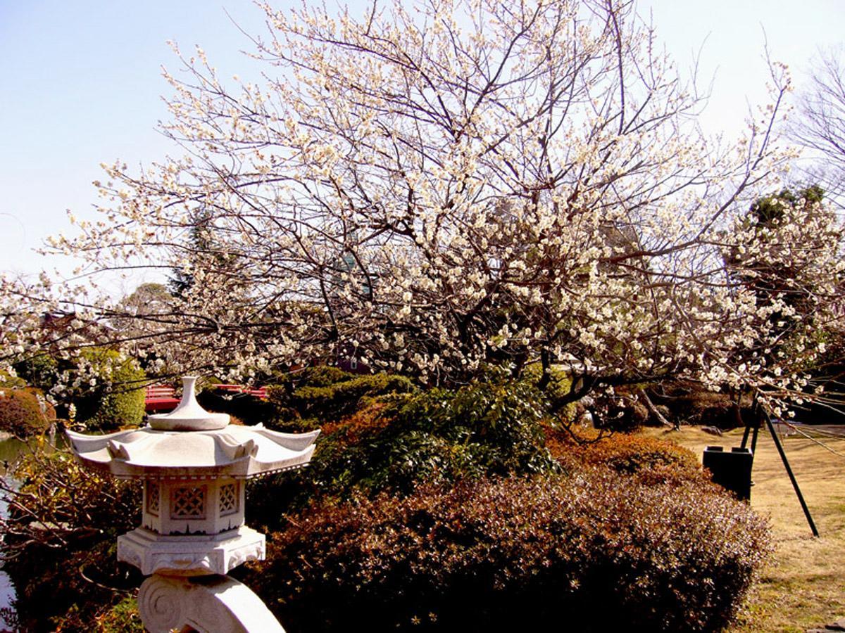 Hotel Garden Palace Kumagaya Exteriör bild